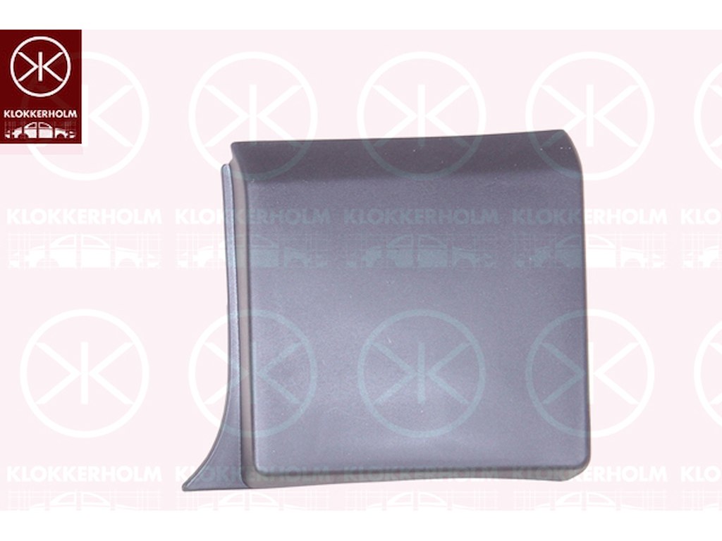 Trim/Protection Strip, quarter panel, Grained, Right Rear, Rear Section, black