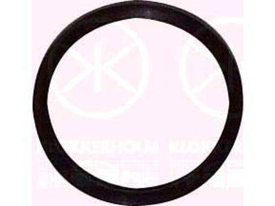 Seal, fuel sender unit, Ø58mm