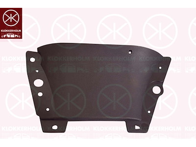 Spoiler, Left Front, black