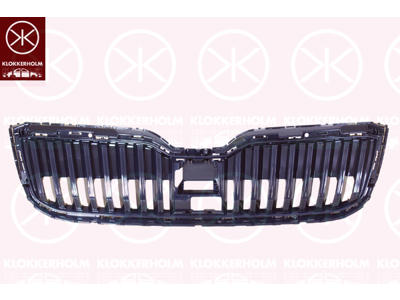 Frame, radiator grille, black