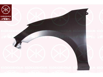 Wing, Left Front
