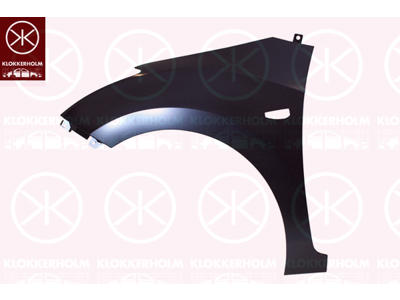Wing, Right Front, with hole for direction indicator