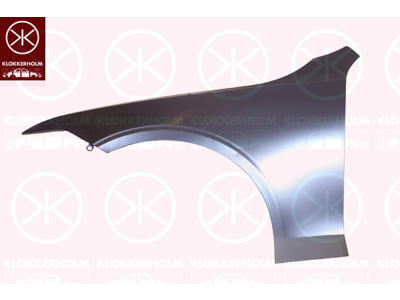 Wing, Aluminium, Right Front, without hole for direction indicator