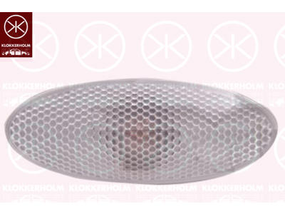 Direction Indicator, lateral installation, white, with bulb holder