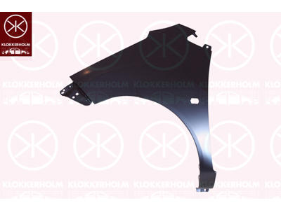 Wing, Right Front, without holes for trim/protective strip, with hole for direction indicator