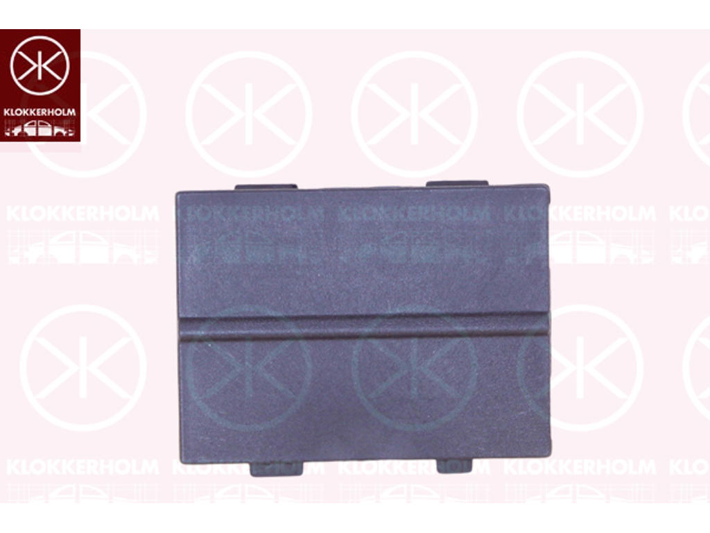 Ventilation Grille, bumper, Front, Lower Section, Centre