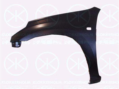 Wing, Left Front, with hole for direction indicator