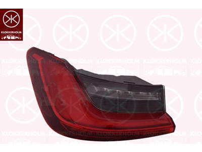 Tail Light Assembly, Left, Outer section, LED