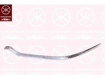Trim/Protection Strip, bumper, chrome, Right Front