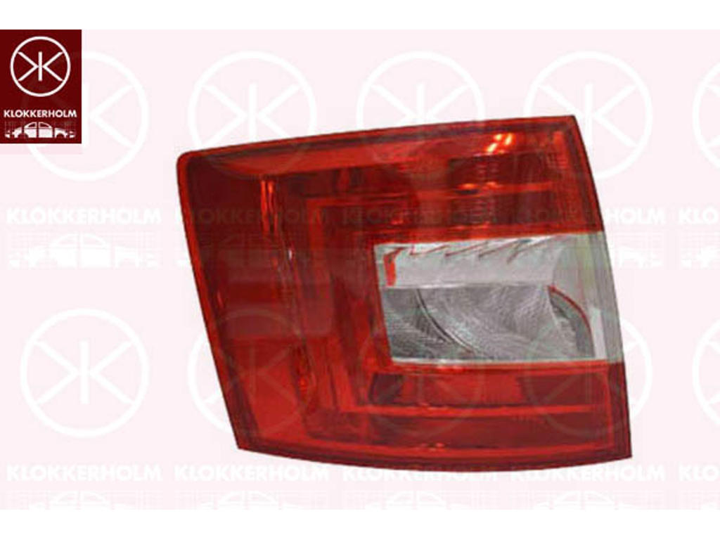 Tail Light Assembly, without bulb holder, Left, Varroc
