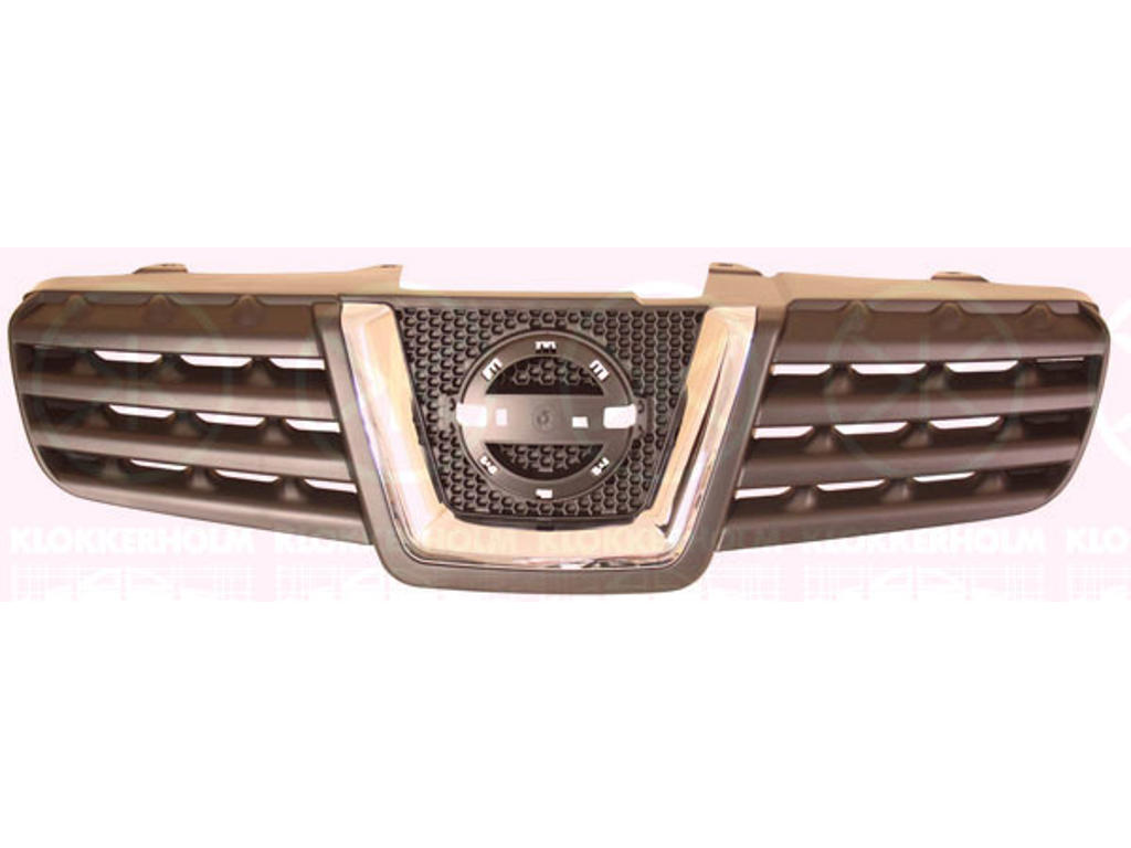 Radiator Grille, chrome/black
