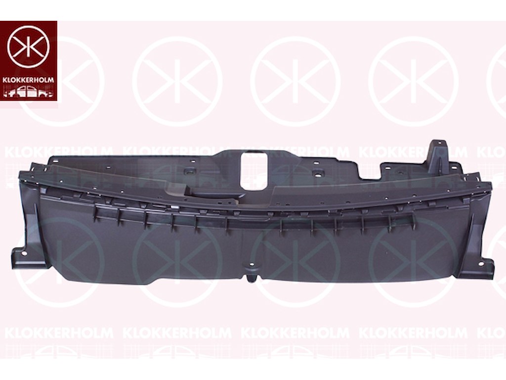 Radiator Grille, Front, black, Inner Section