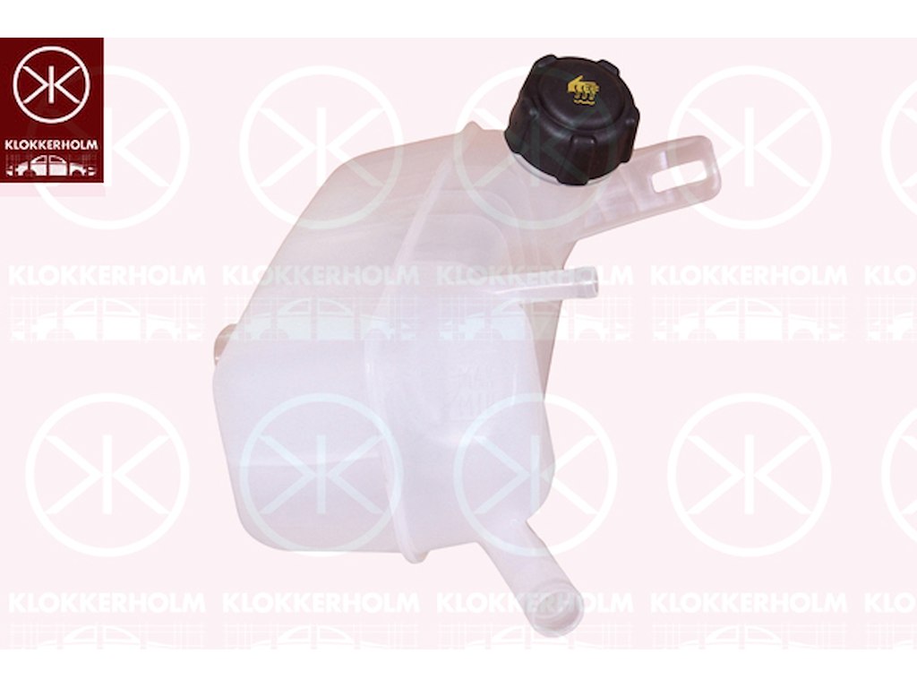 Expansion Tank, coolant, with lid