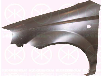 Wing, Left Front, with hole for direction indicator