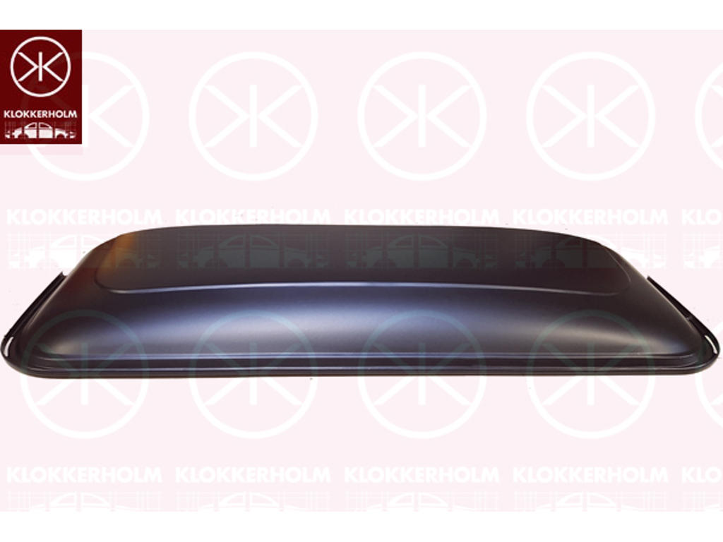 Lasthållarsystem, Position: Fordonstak, Ekonomiplåt, bakdel, stål