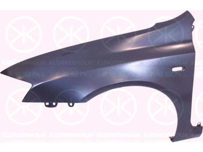 Spatbord, Links, Met gat voor knipperlampen