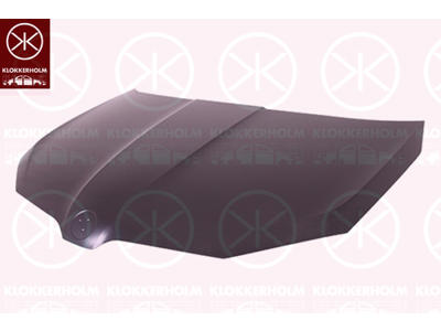 Bonnet, Steel