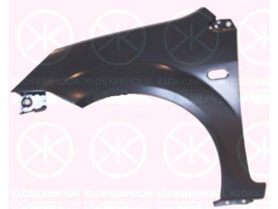 Wing, Left Front, with hole for direction indicator