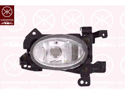 Front Fog Light, Right Front, H11, without bulb holder