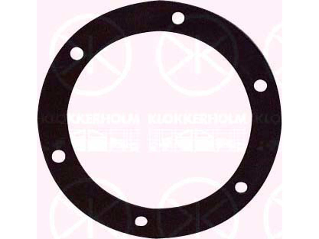 Seal, fuel sender unit, Ø70mm, Number of bores: 6