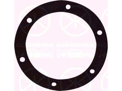 Seal, fuel sender unit, Ø70mm, Number of bores: 6