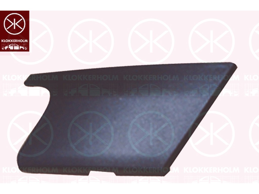 Trim/Protection Strip, bumper, Left Front, Outer section