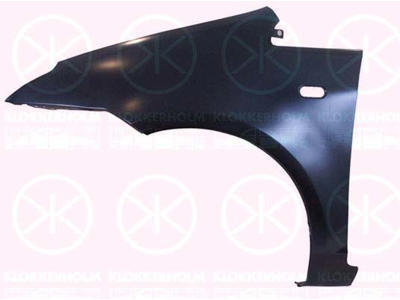 Wing, Left Front, with hole for direction indicator