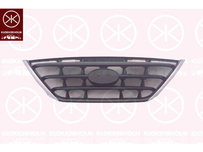 Radiator Grille, chrome/black