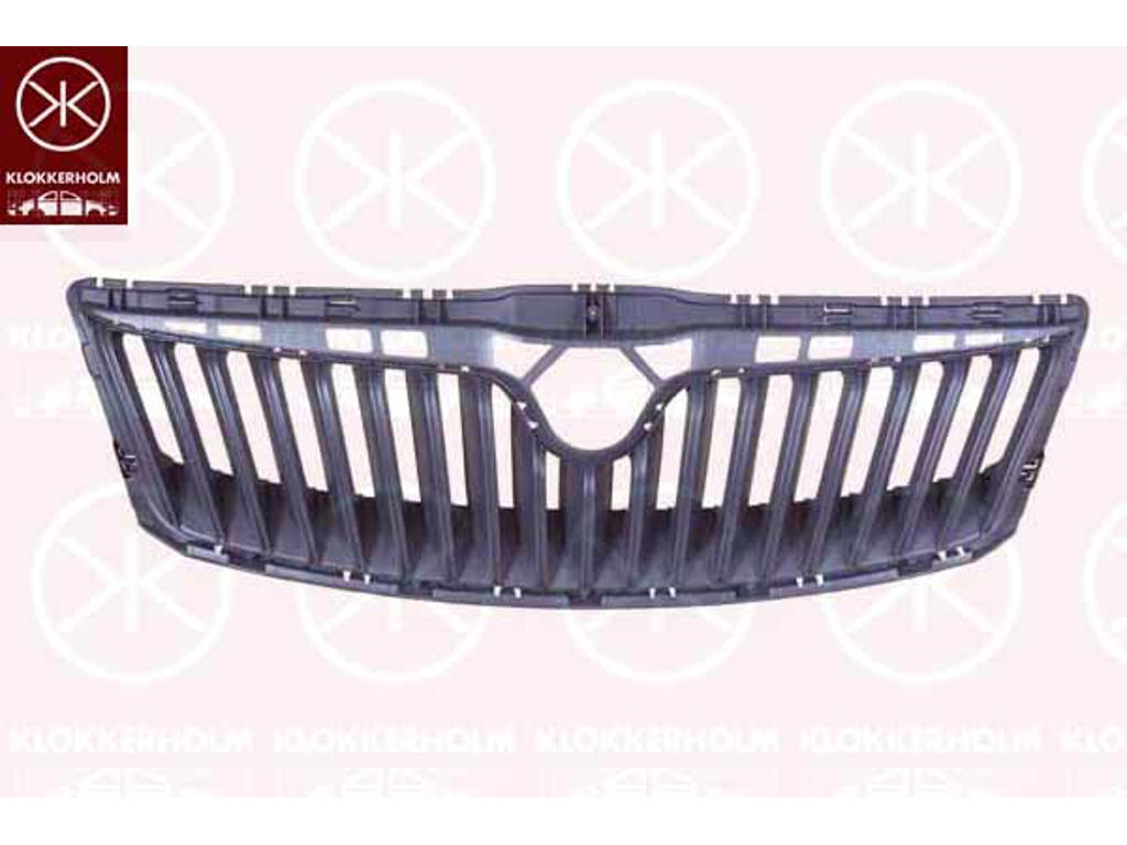 Radiator Grille, black