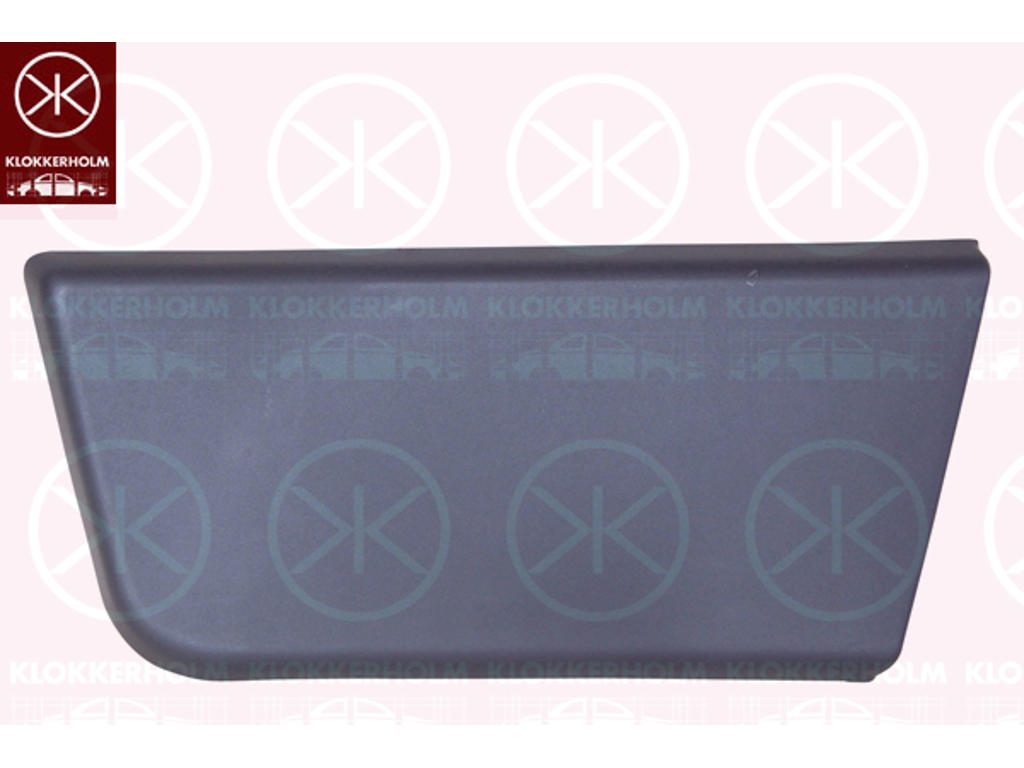 Trim/Protection Strip, door, Left Front, black