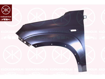 Wing, Left Front, with holes for trim/protective strip, with hole for direction indicator, Vehicle Equipment Line/Variant: OFFROAD