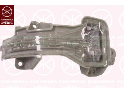 Direction Indicator, Exterior Mirror, Left, LED