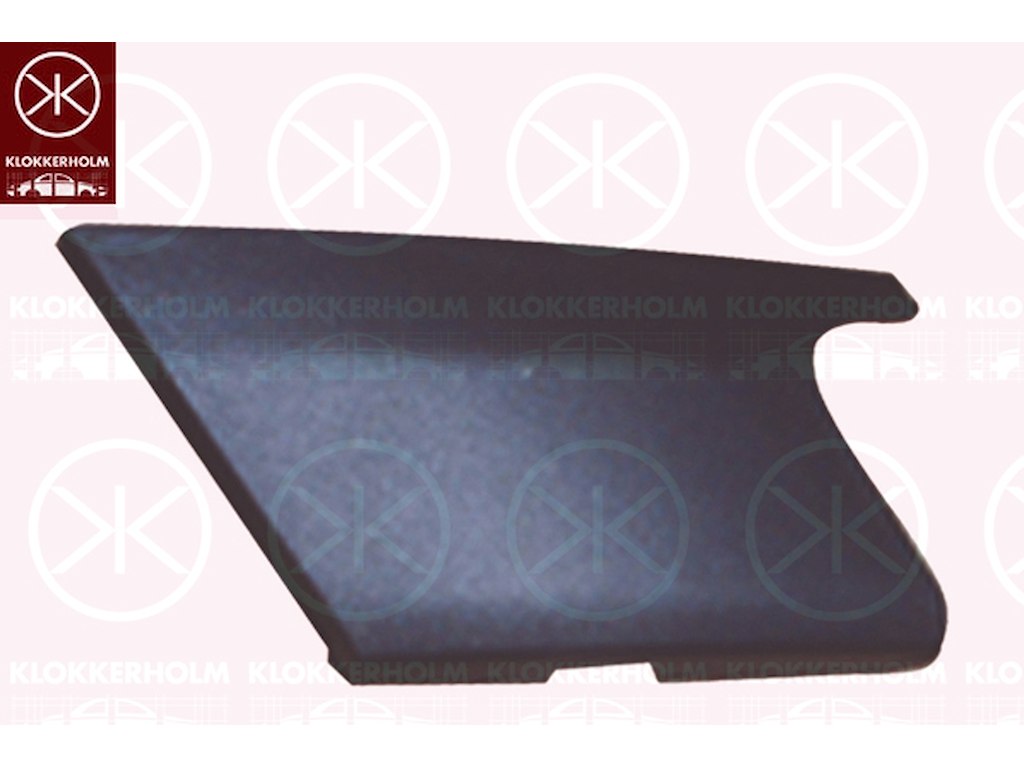 Trim/Protection Strip, bumper, Right Front, Outer section