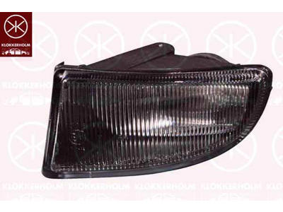Front Fog Light, without bulb holder, Left Front
