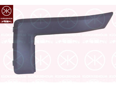 Trim/Protection Strip, bumper, Left Front, Outer section