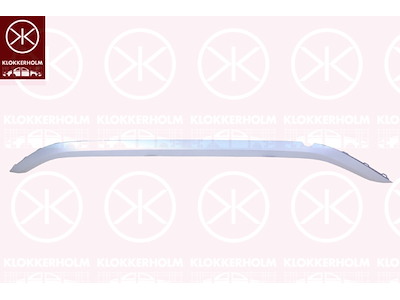Trim/Protection Strip, bumper, Rear, silver