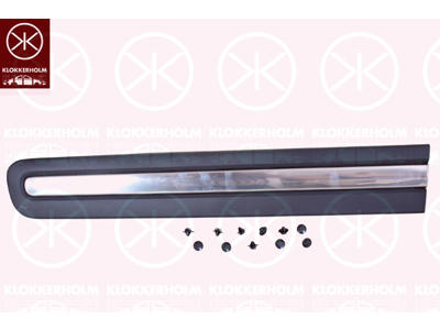 Trim/Protection Strip, door, Left Front, black, with trim strip, chrome