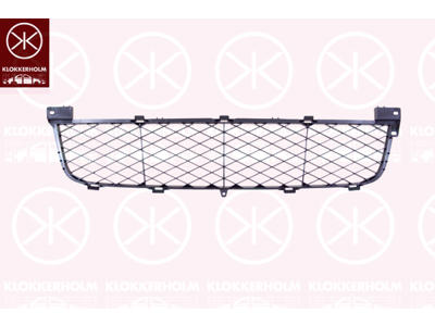Ventilation Grille, bumper, Front