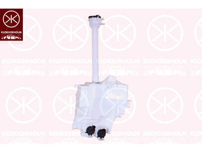Washer Fluid Reservoir, window cleaning, with lid, with pump