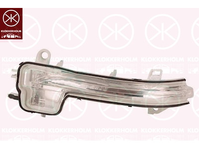 Knipperlicht, LED, Inbouwplaats: Buitenspiegel links