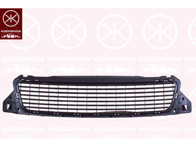 Ventilation Grille, bumper, Front, Centre Section