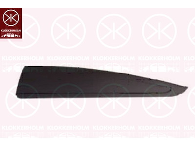 Trim/Protection Strip, door, black, Left Rear