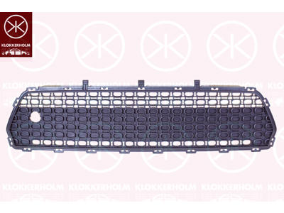 Radiator Grille, black