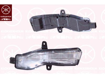 Direction Indicator, Exterior Mirror, Left, LED