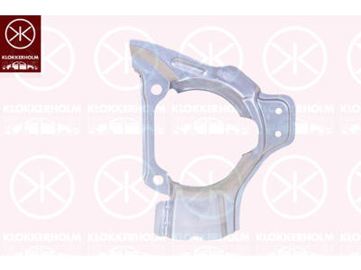 Splash Guard, brake disc, Front Axle Left, Diameter 1/Diameter 2 [mm]: 247/95, Zinc-coated
