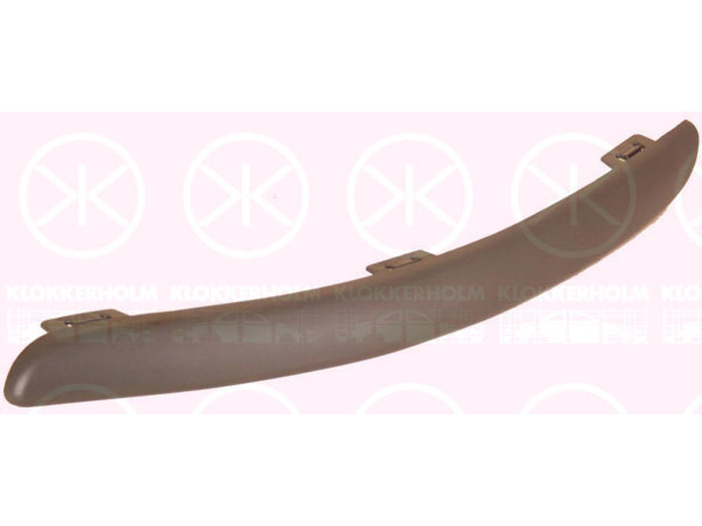 Trim/Protection Strip, bumper, Left Front