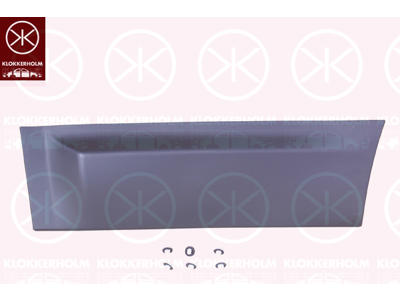 Trim/Protection Strip, door, Right Rear, black