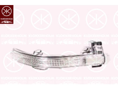 Direction Indicator, Left, Exterior Mirror, Indicator Colour: white