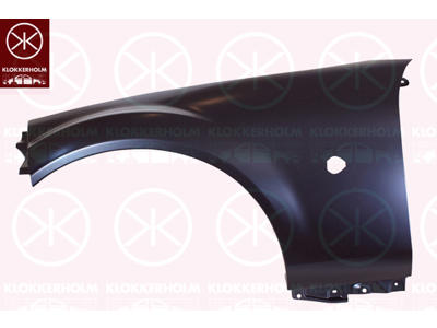 Wing, Right Front, with hole for direction indicator