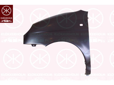 Wing, Left Front, with hole for direction indicator